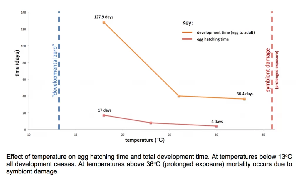 Screen-Shot-2012-12-21-at-17.07.57-1024x618