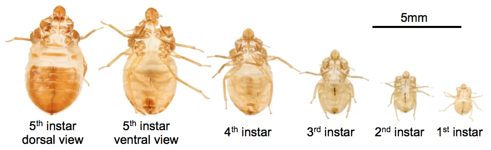 Screen-Shot-2012-12-21-at-17.55.36