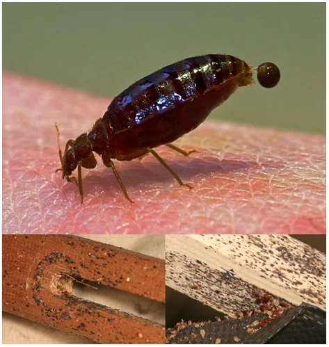 Screen-Shot-2012-12-21-at-17.58.48