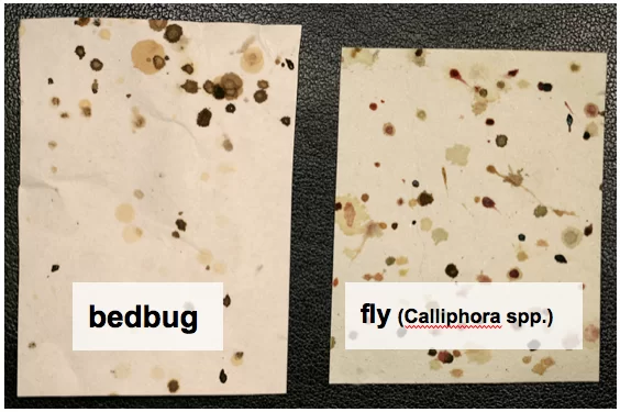 Screen-Shot-2012-12-21-at-17.59.05